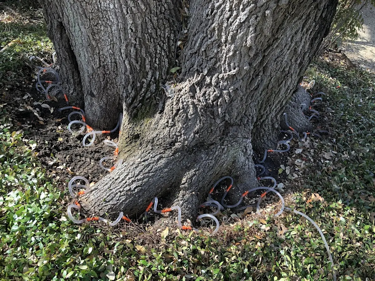 Detailed Shrub and Hedge Trimming job site in Hammon